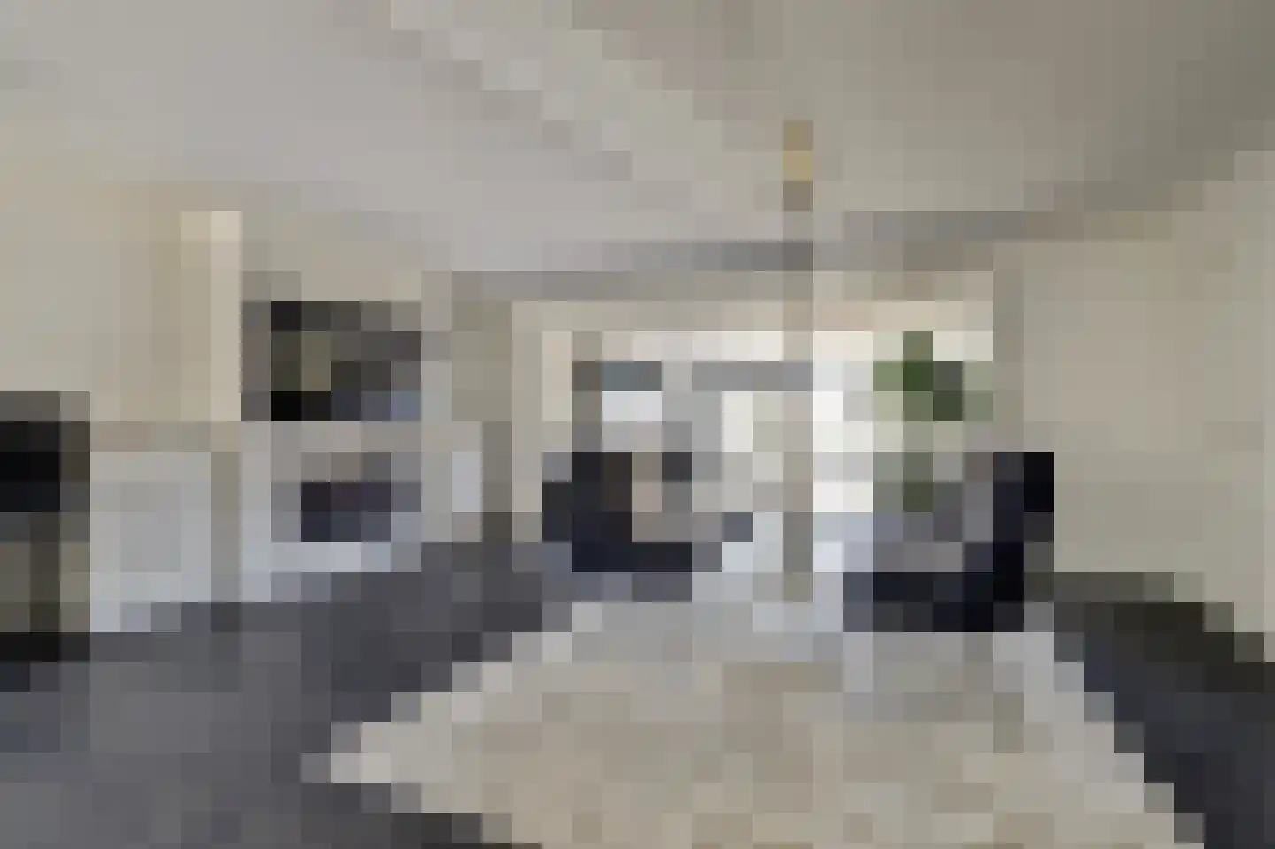 Betuwe Singel 4 Lienden thumbnail 15
