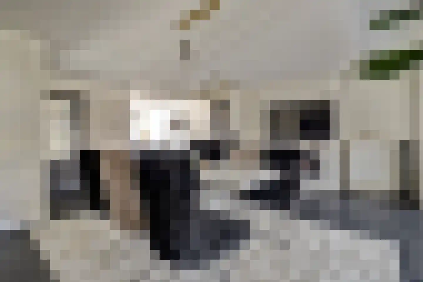 Betuwe Singel 4 Lienden thumbnail 16