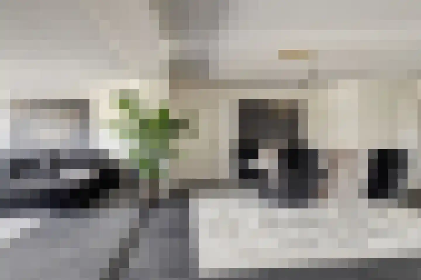 Betuwe Singel 4 Lienden thumbnail 17