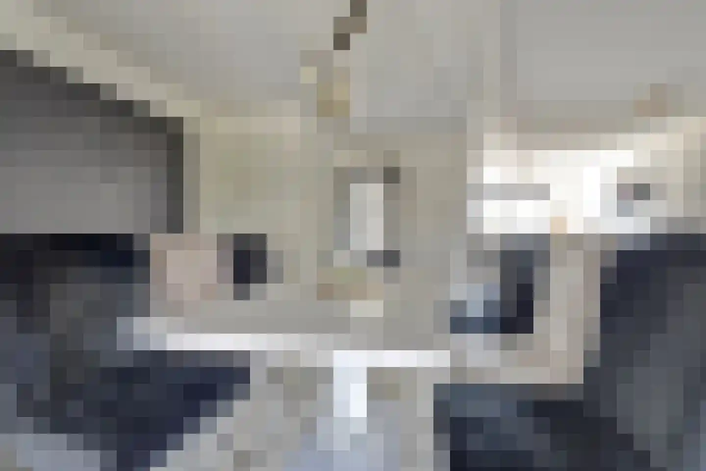 Betuwe Singel 4 Lienden thumbnail 18