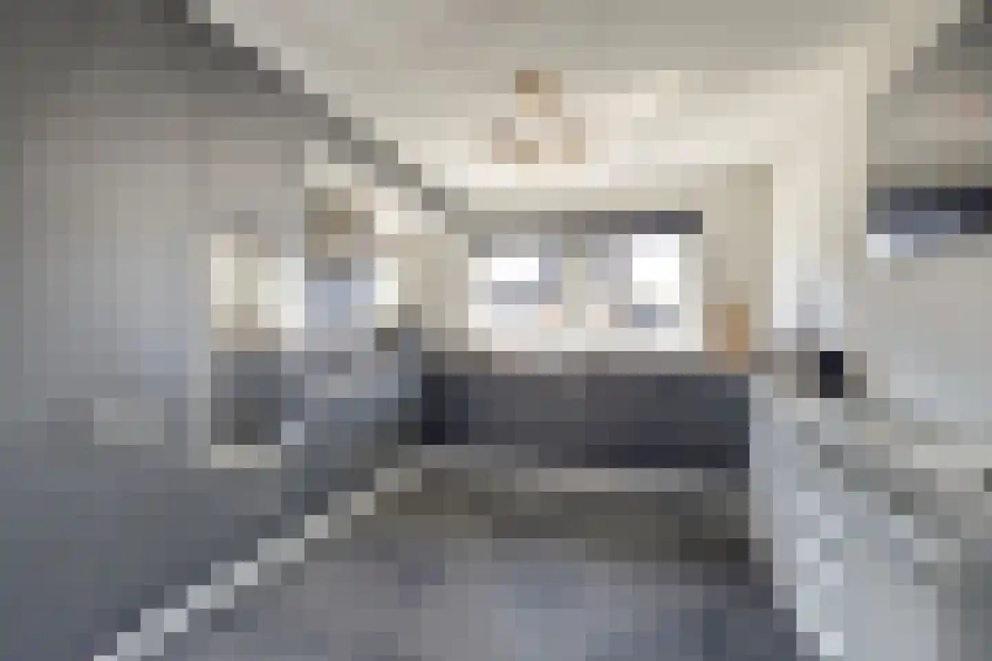 Betuwe Singel 4 Lienden thumbnail 20
