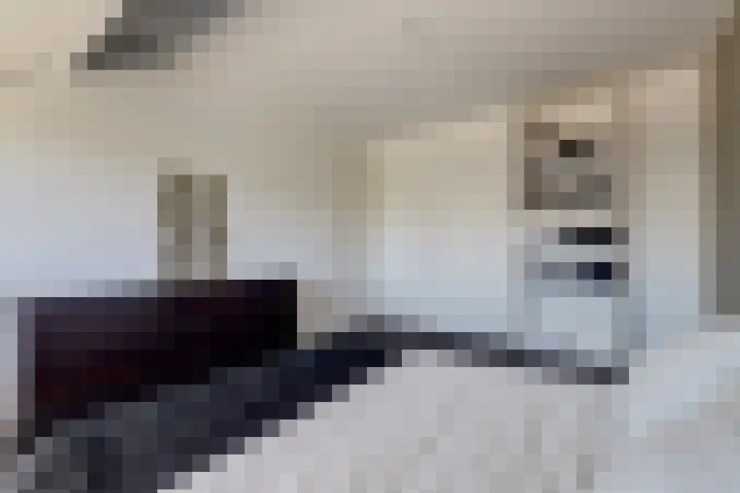 Betuwe Singel 4 Lienden thumbnail 30