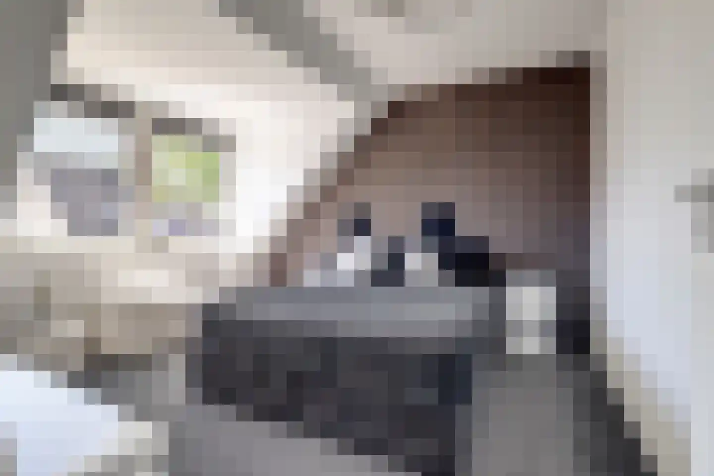 Betuwe Singel 4 Lienden thumbnail 32