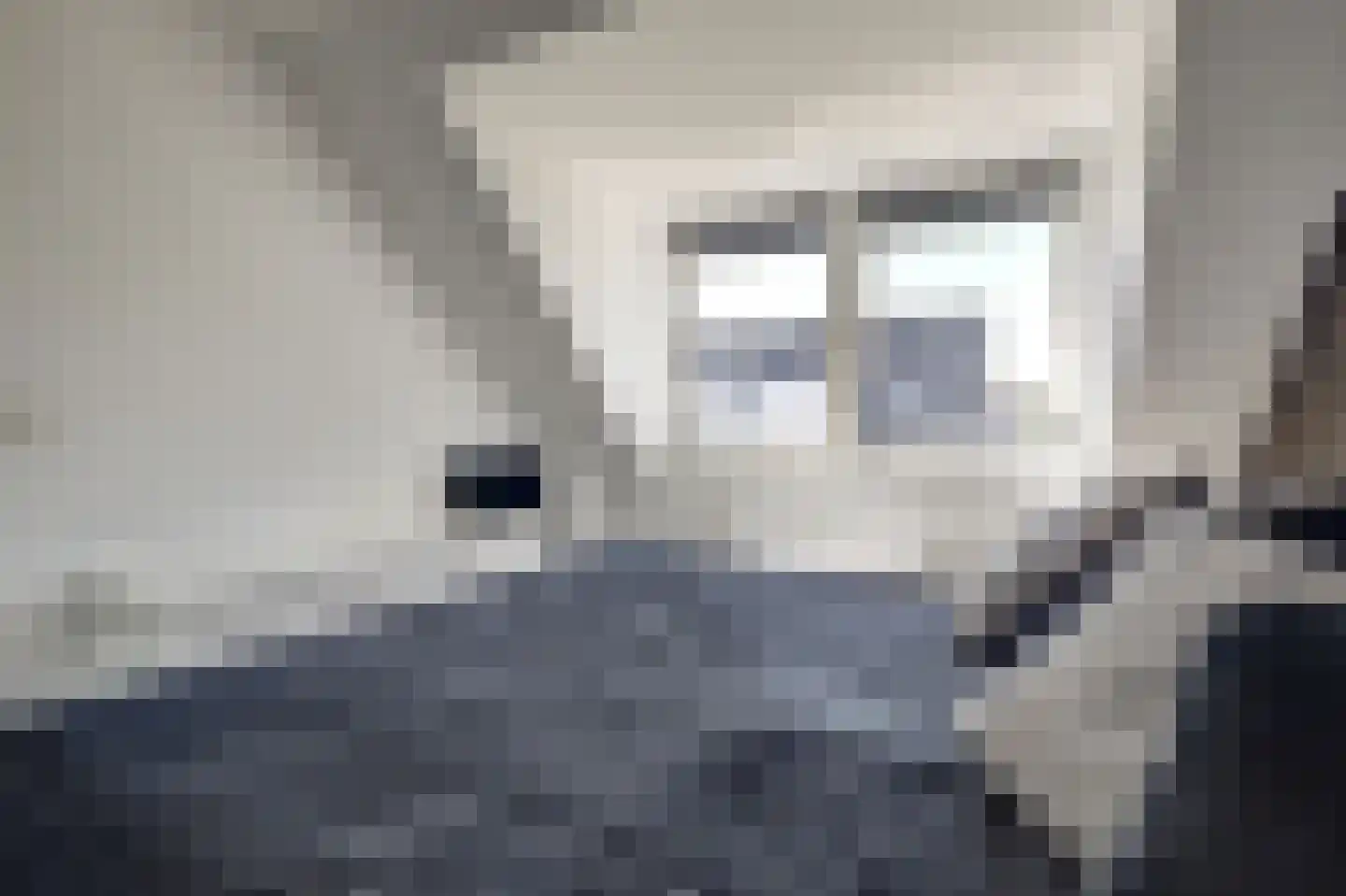 Betuwe Singel 4 Lienden thumbnail 33