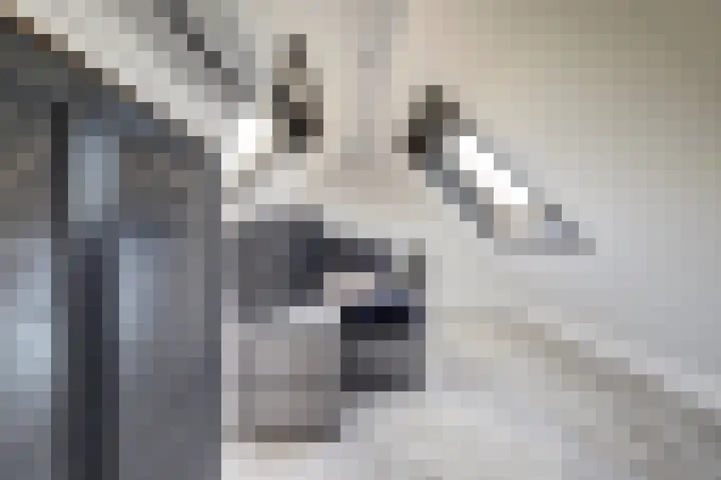 Betuwe Singel 4 Lienden thumbnail 34