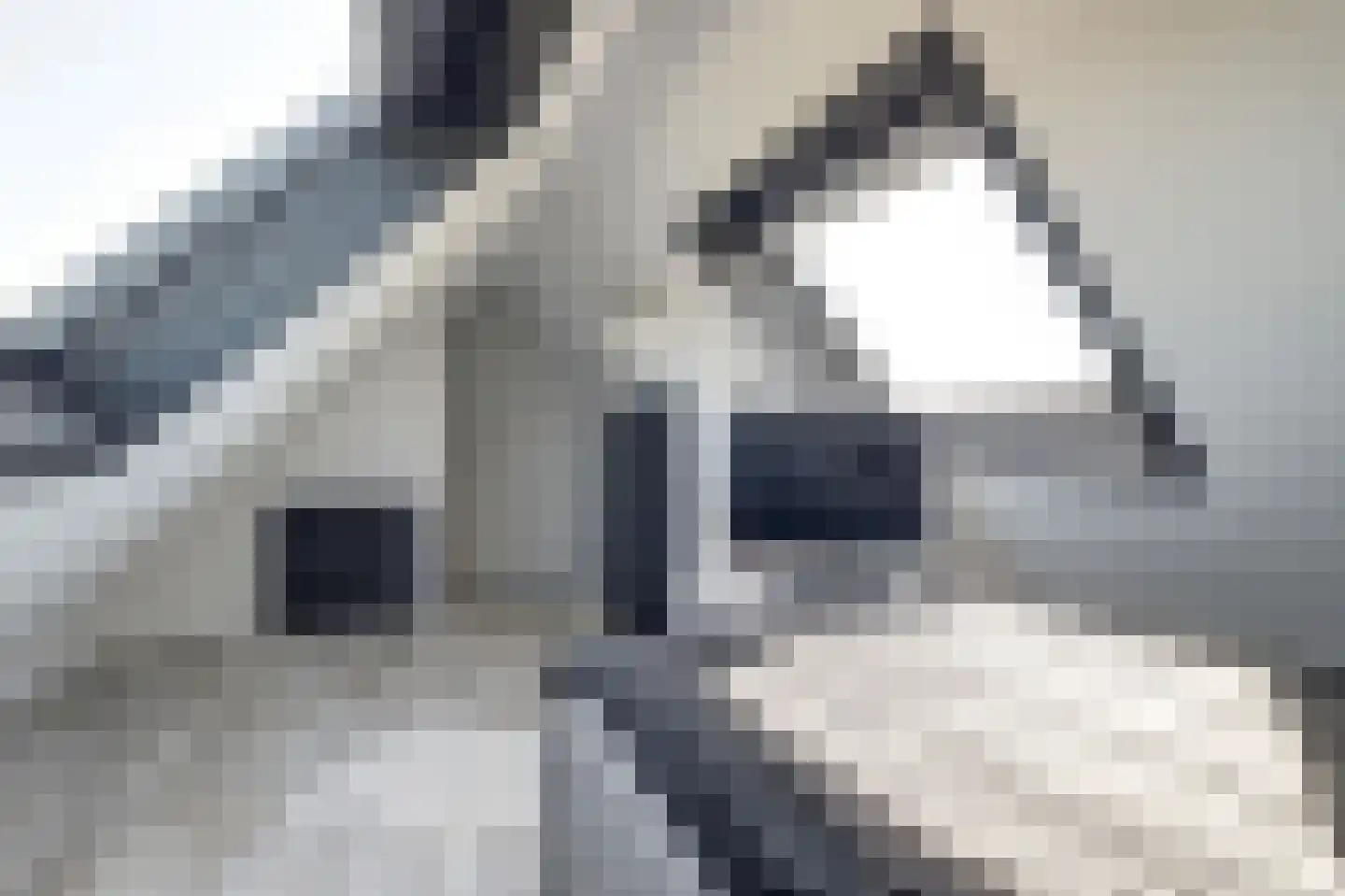 Betuwe Singel 4 Lienden thumbnail 36