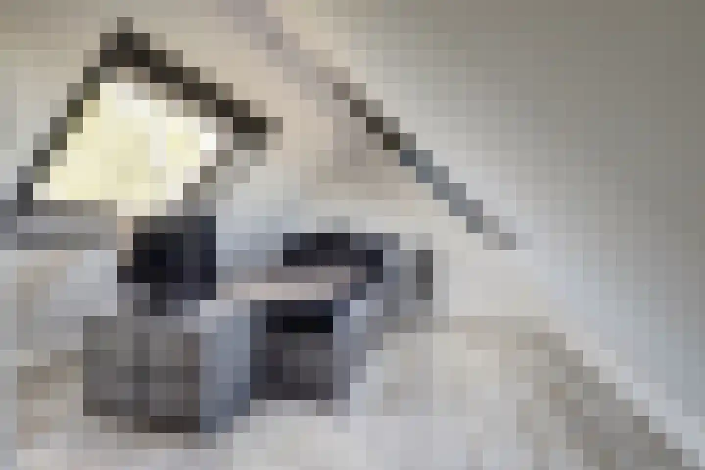 Betuwe Singel 4 Lienden thumbnail 36