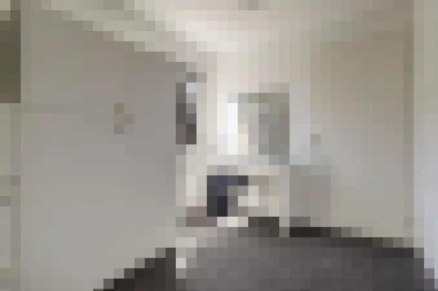 Betuwe Singel 4 Lienden thumbnail 37