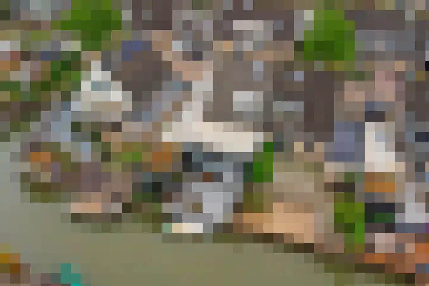 Betuwe Singel 4 Lienden thumbnail 4