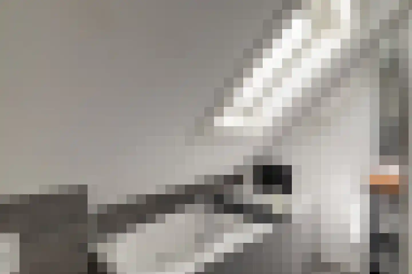 Betuwe Singel 4 Lienden thumbnail 41