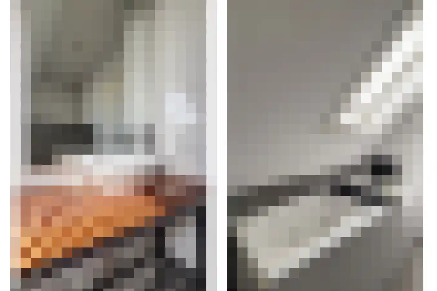 Betuwe Singel 4 Lienden thumbnail 42