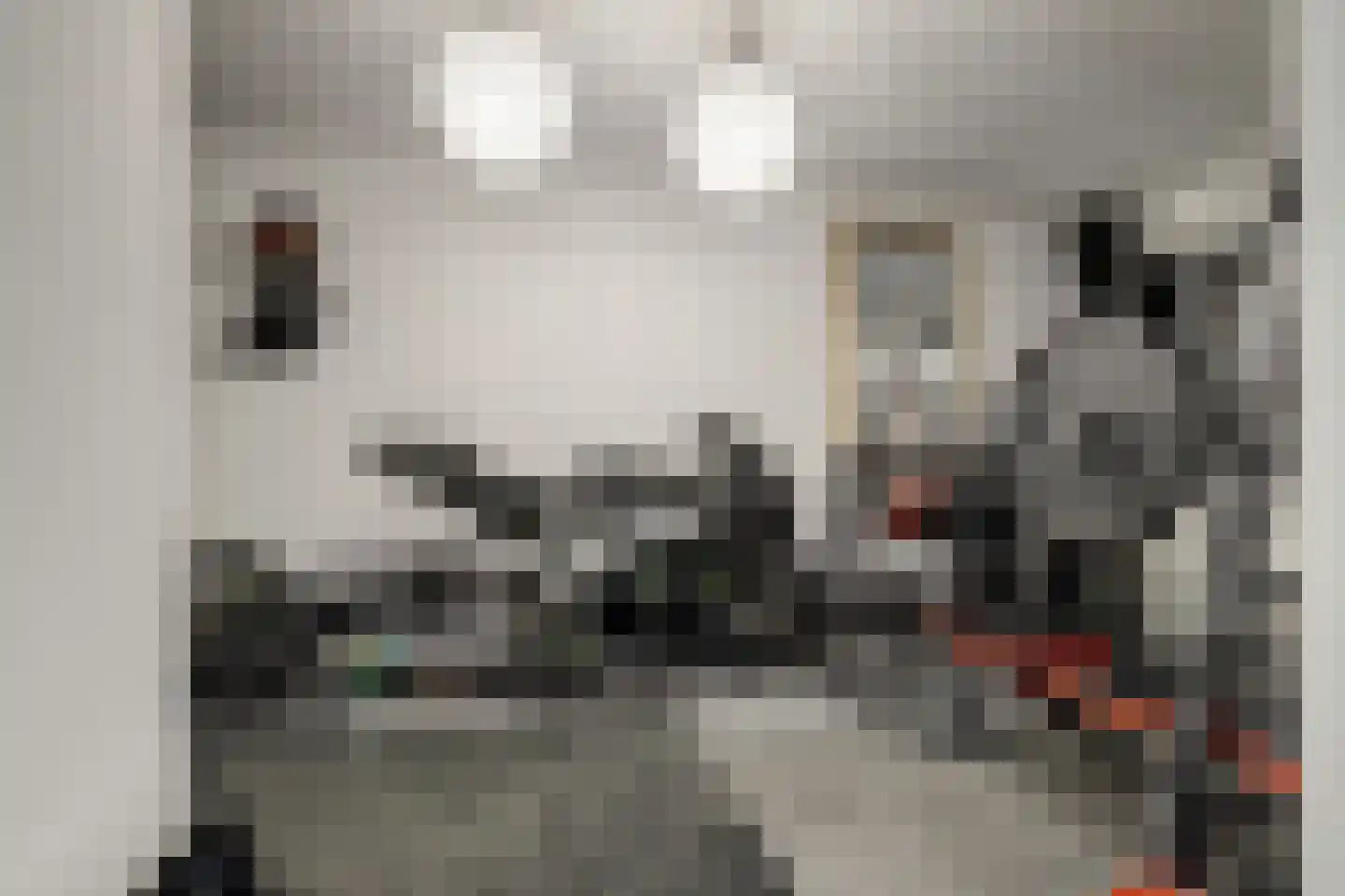 Betuwe Singel 4 Lienden thumbnail 43