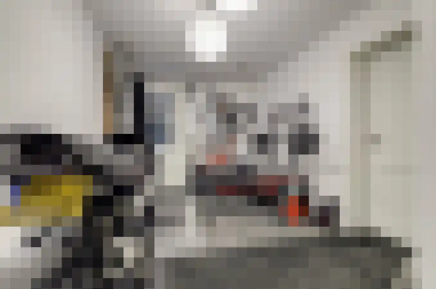 Betuwe Singel 4 Lienden thumbnail 44