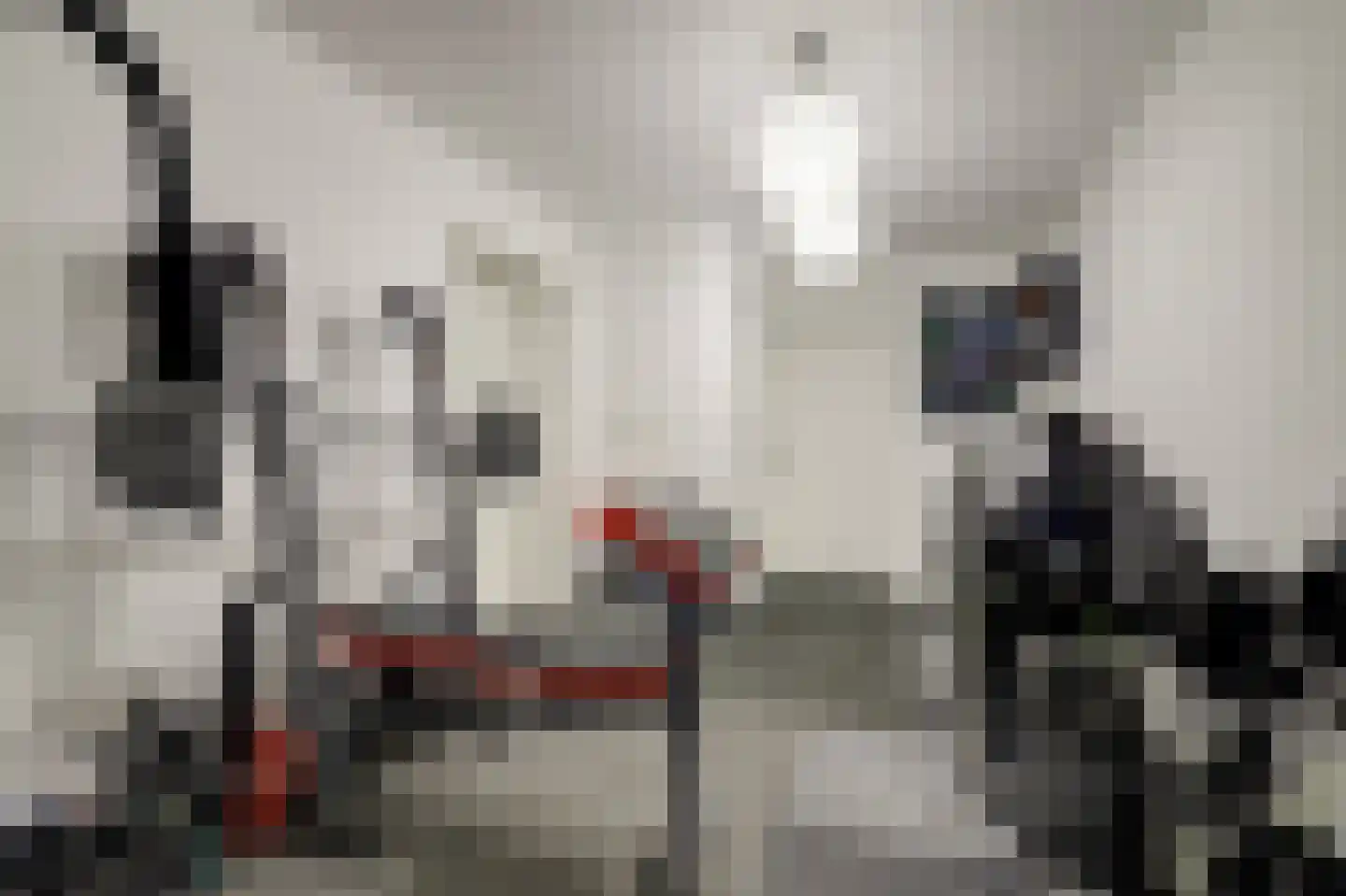 Betuwe Singel 4 Lienden thumbnail 45