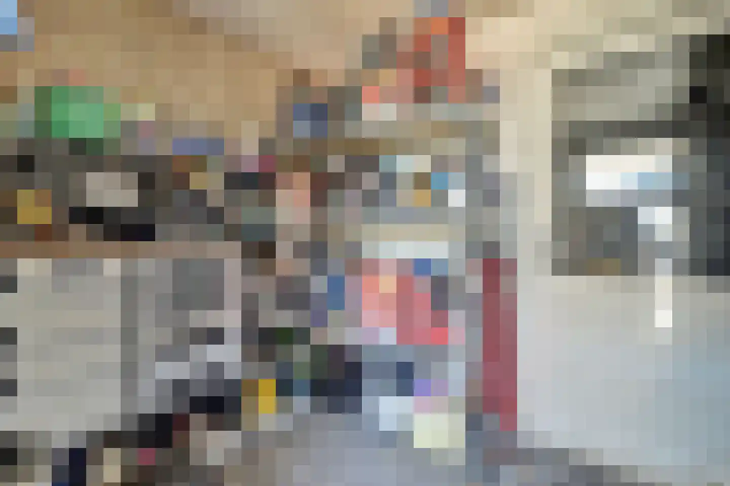 Betuwe Singel 4 Lienden thumbnail 46