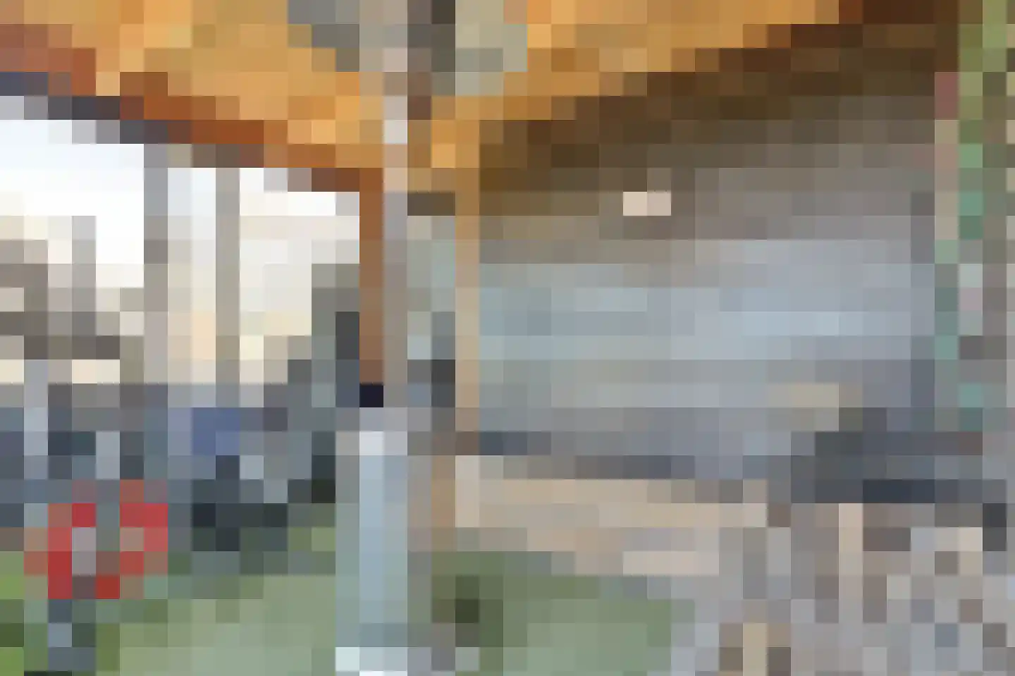 Betuwe Singel 4 Lienden thumbnail 47