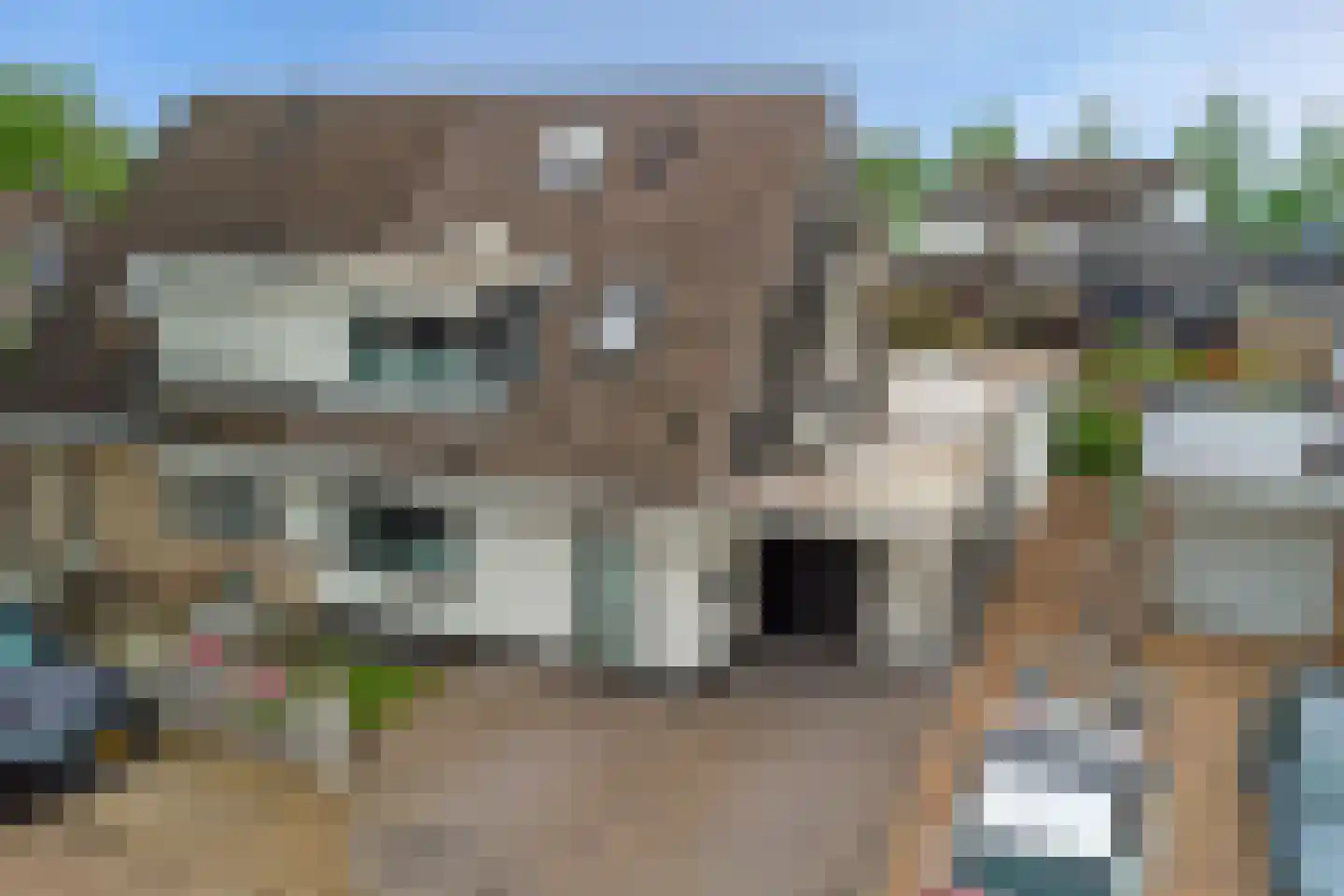 Betuwe Singel 4 Lienden thumbnail 54