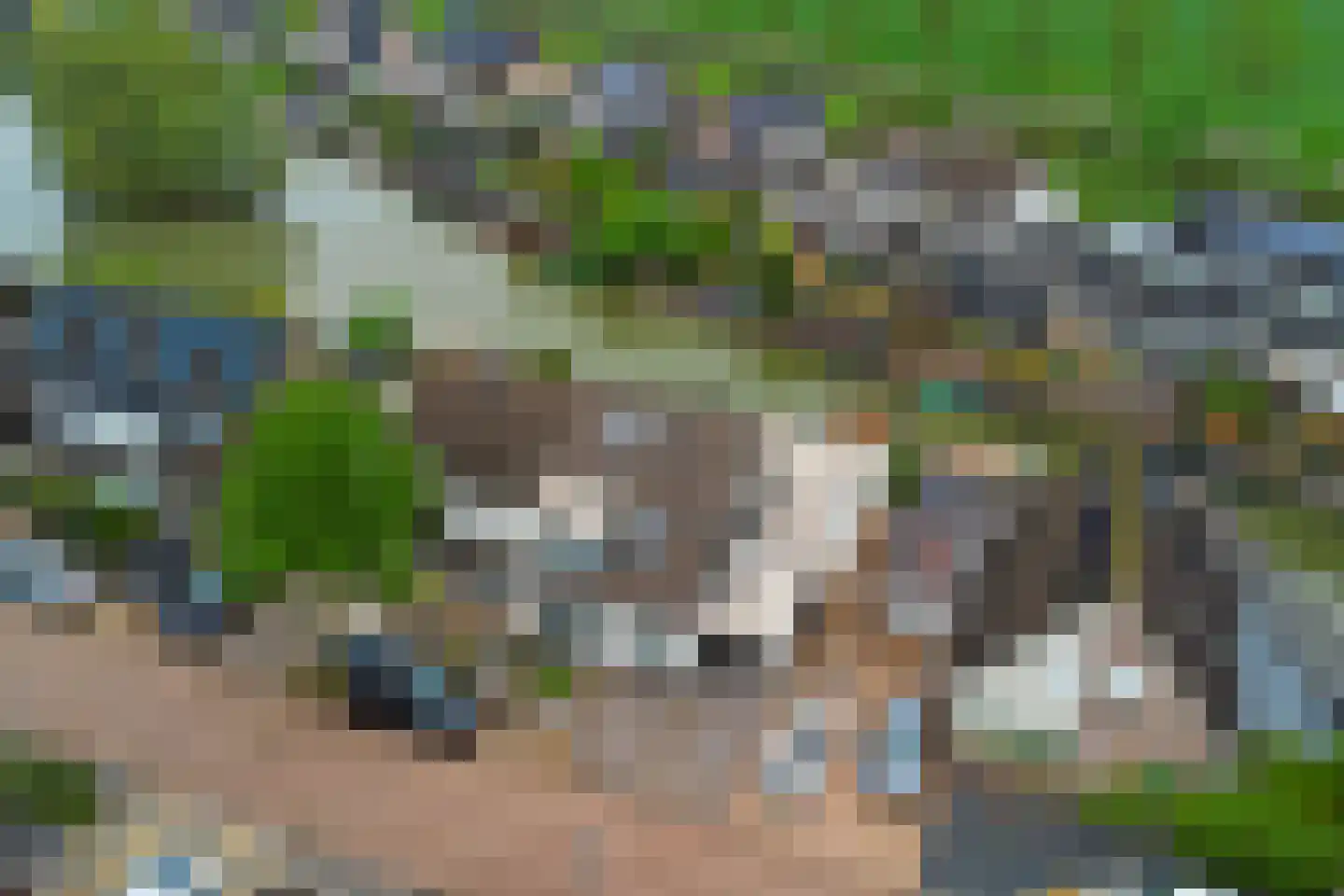 Betuwe Singel 4 Lienden thumbnail 56