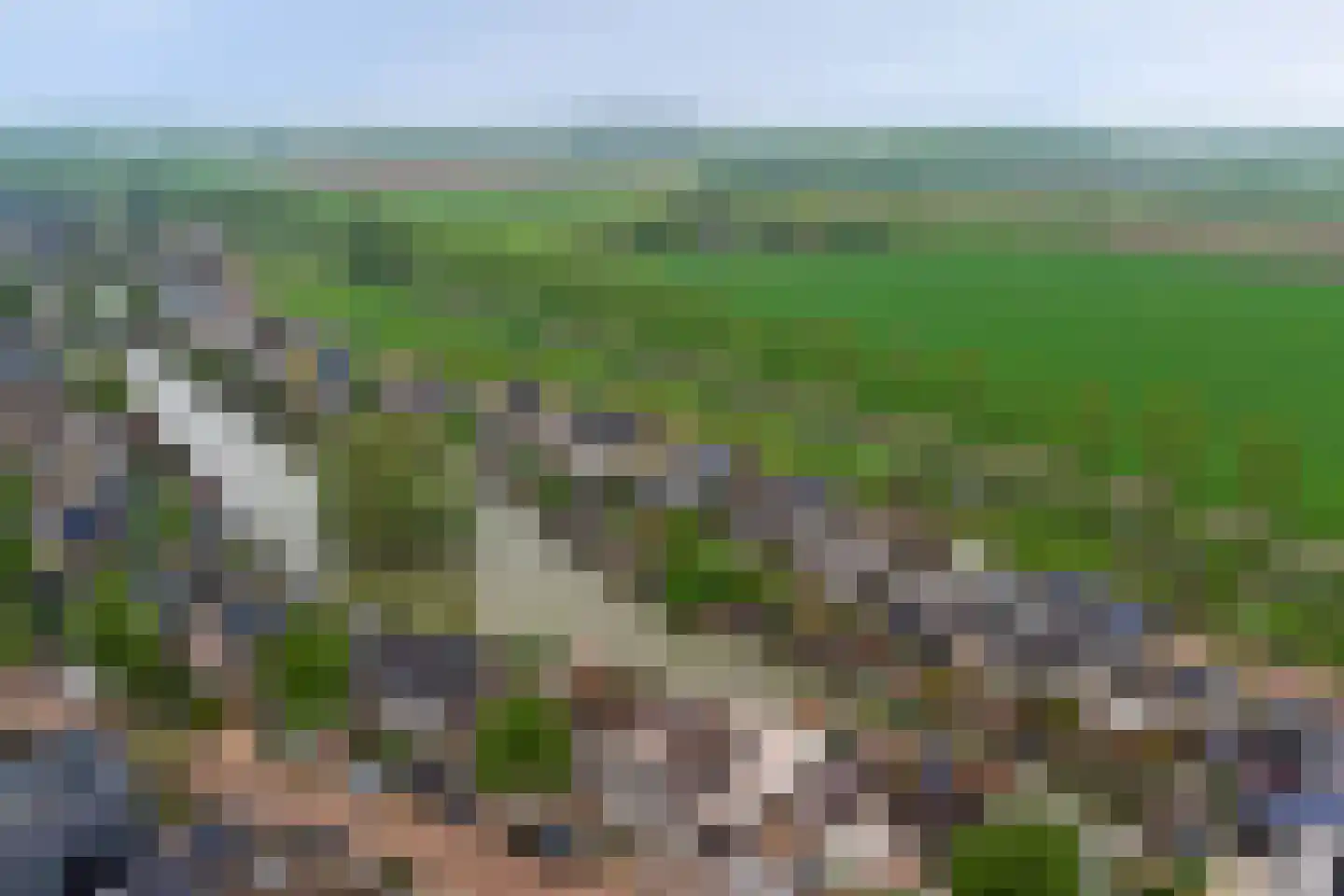 Betuwe Singel 4 Lienden thumbnail 58