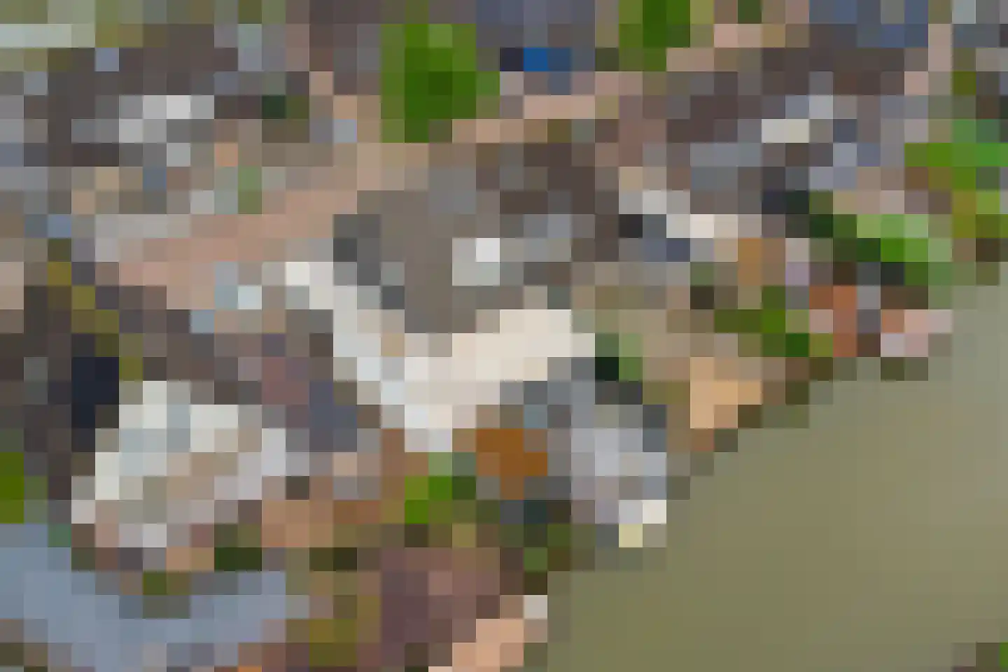 Betuwe Singel 4 Lienden thumbnail 60
