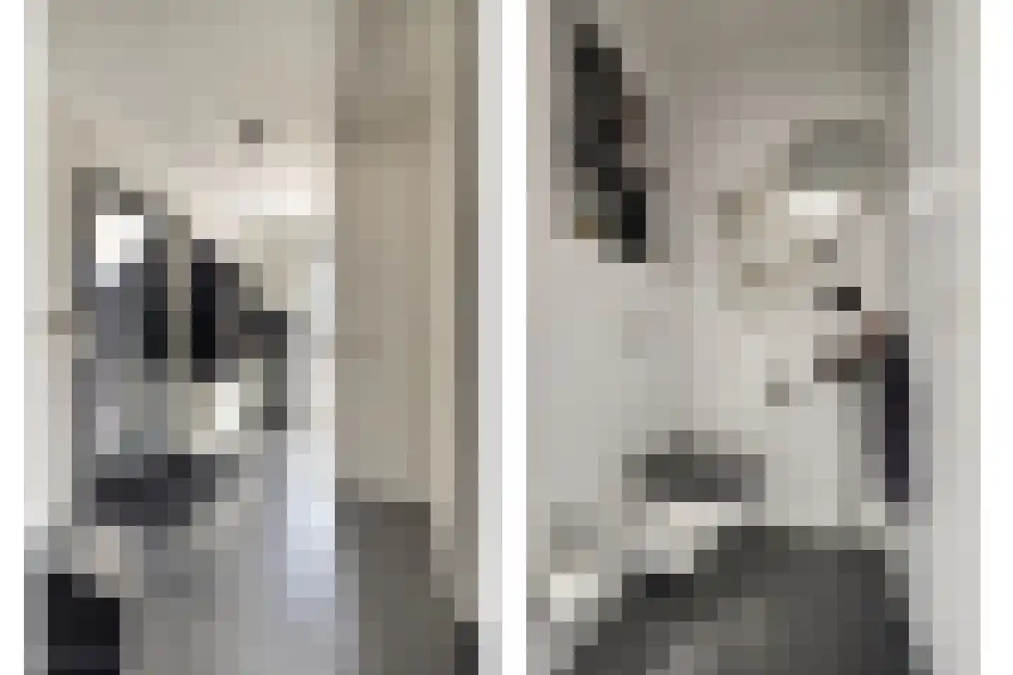 Betuwe Singel 4 Lienden thumbnail 8