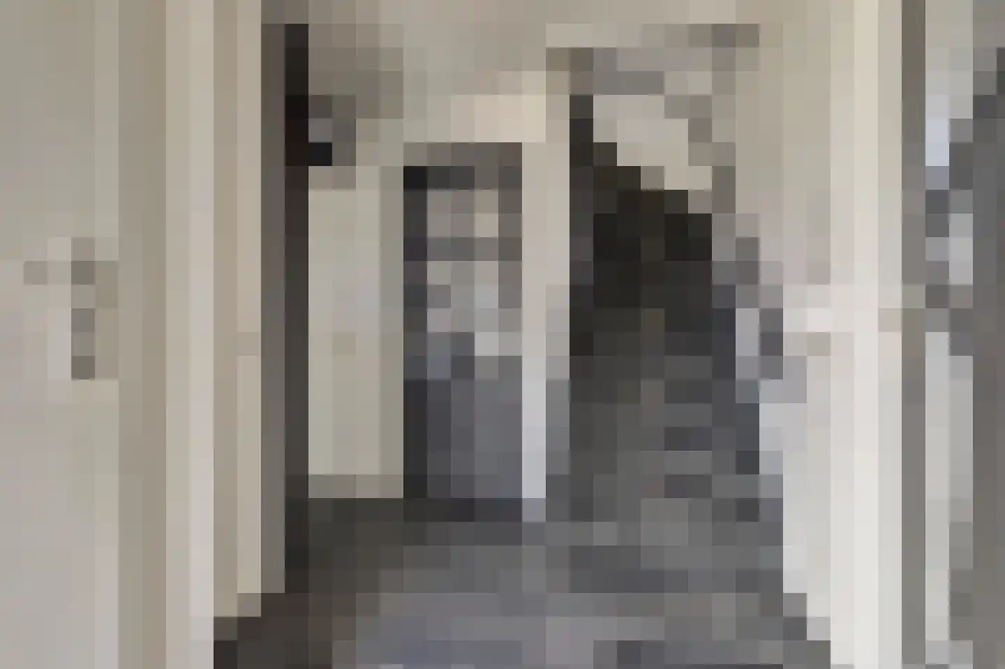 Betuwe Singel 4 Lienden thumbnail 9