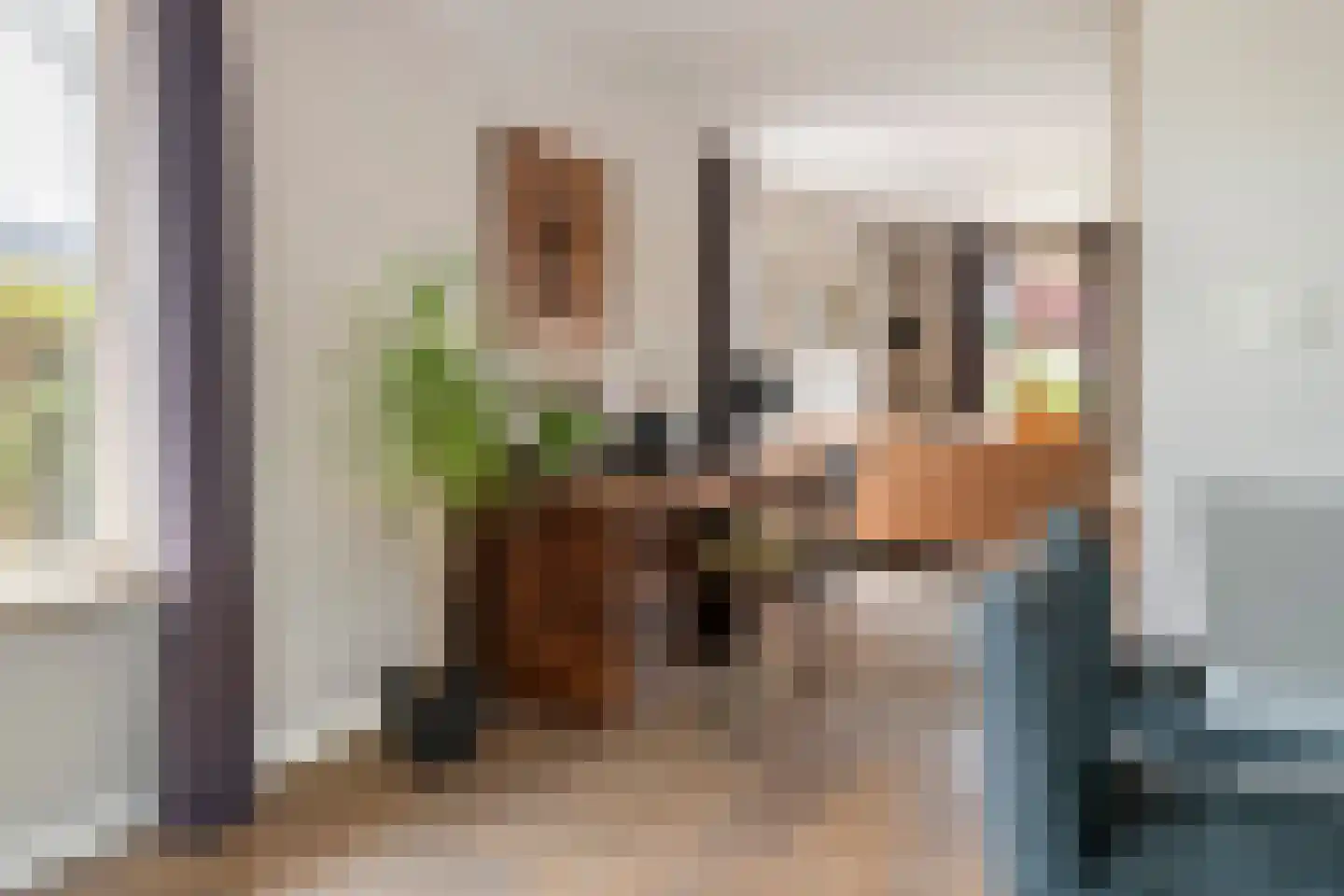 Betuwe Singel 59 Echteld thumbnail 13