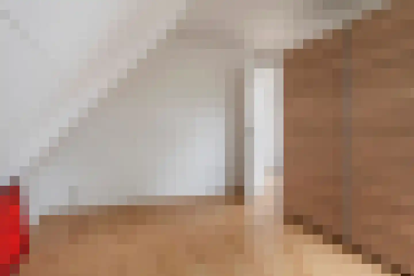 Betuwe Singel 59 Echteld thumbnail 30