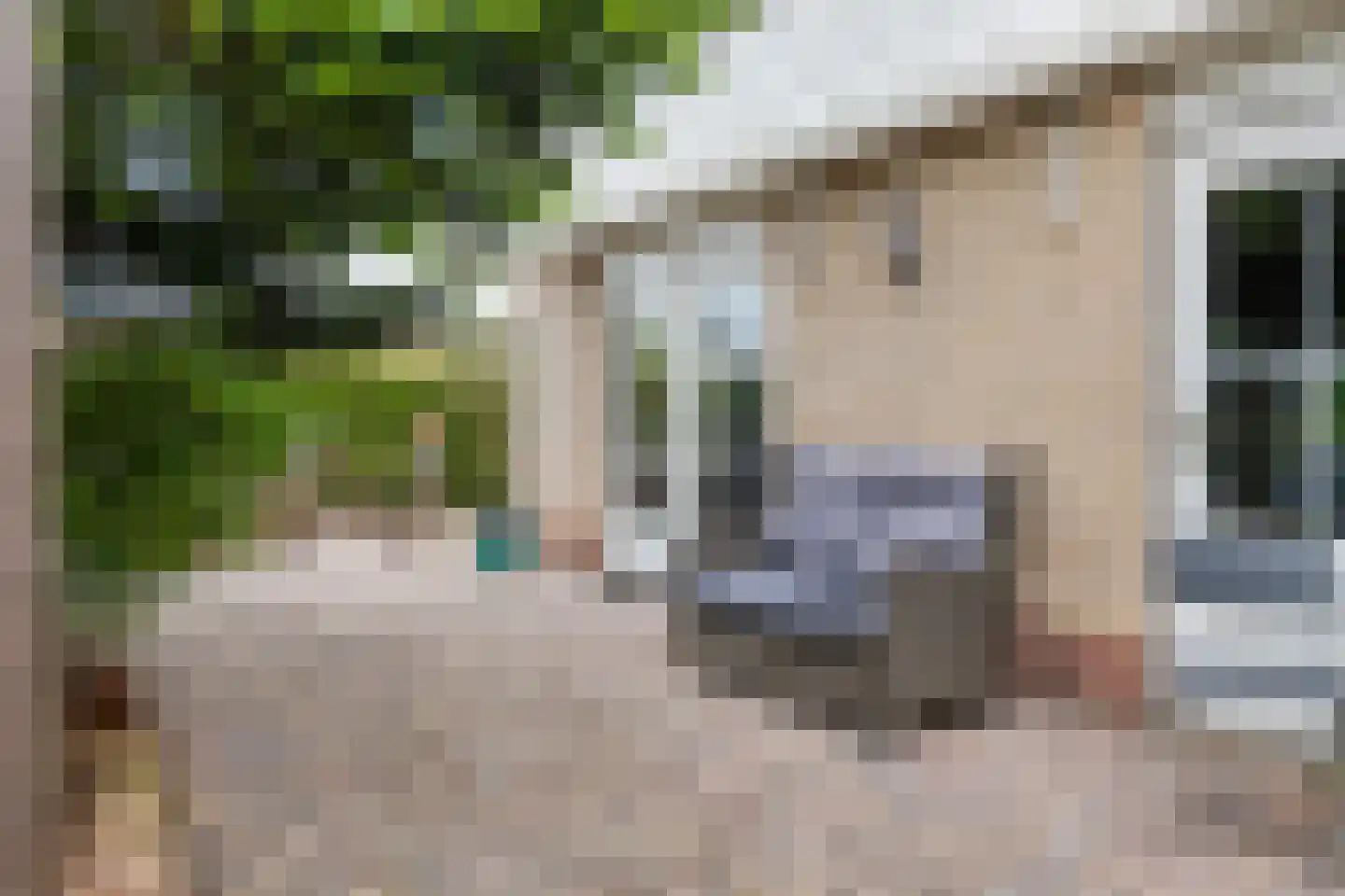 Betuwe Singel 59 Echteld thumbnail 33
