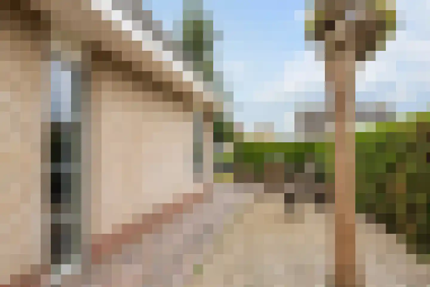 Betuwe Singel 59 Echteld thumbnail 34