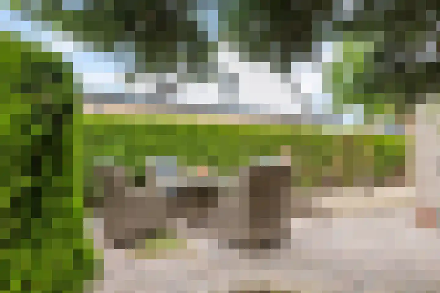Betuwe Singel 59 Echteld thumbnail 35