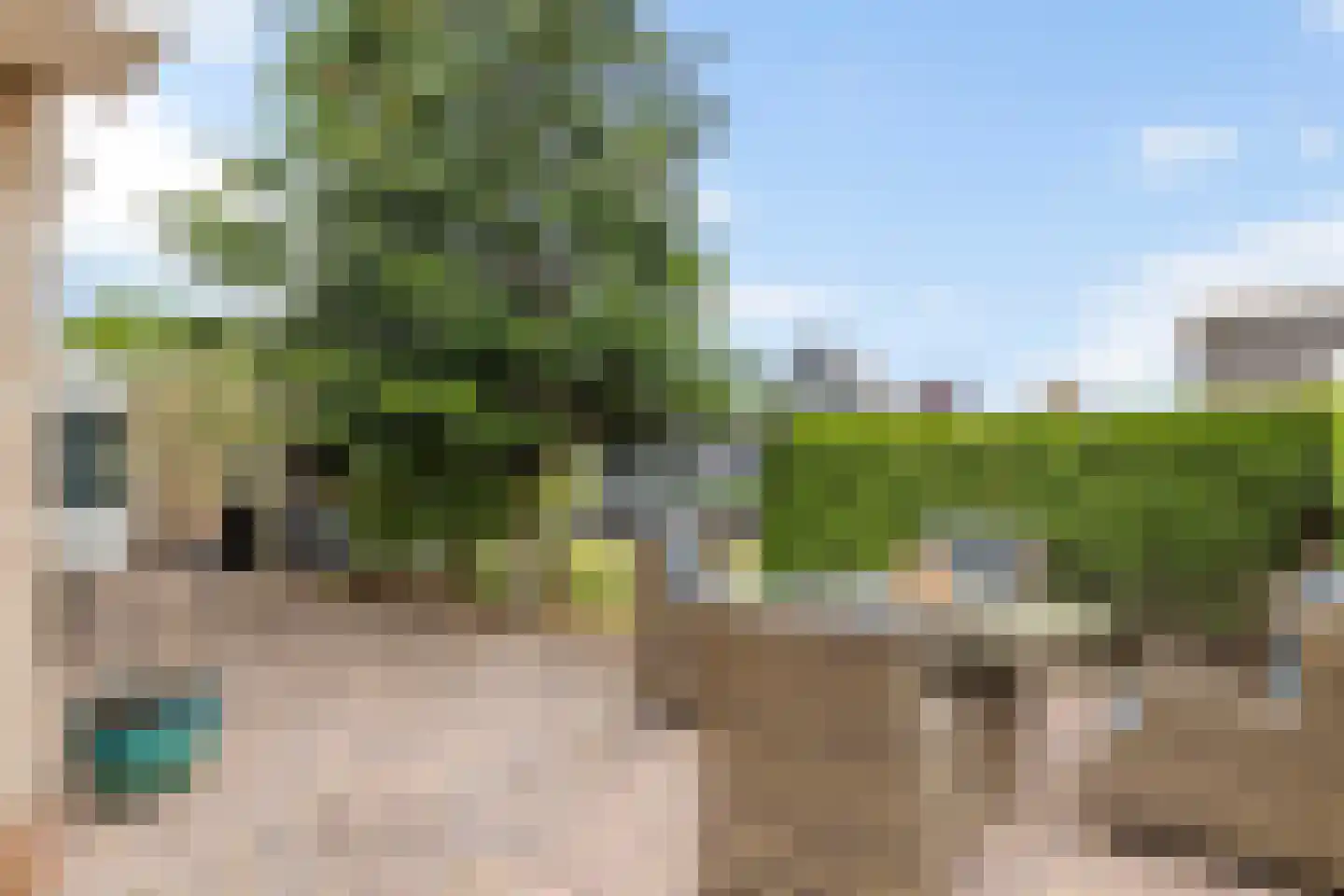 Betuwe Singel 59 Echteld thumbnail 36