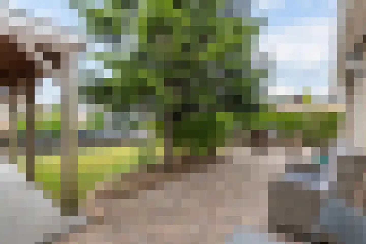 Betuwe Singel 59 Echteld thumbnail 40