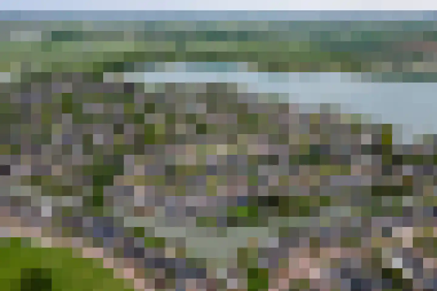 Betuwe Singel 59 Echteld thumbnail 45