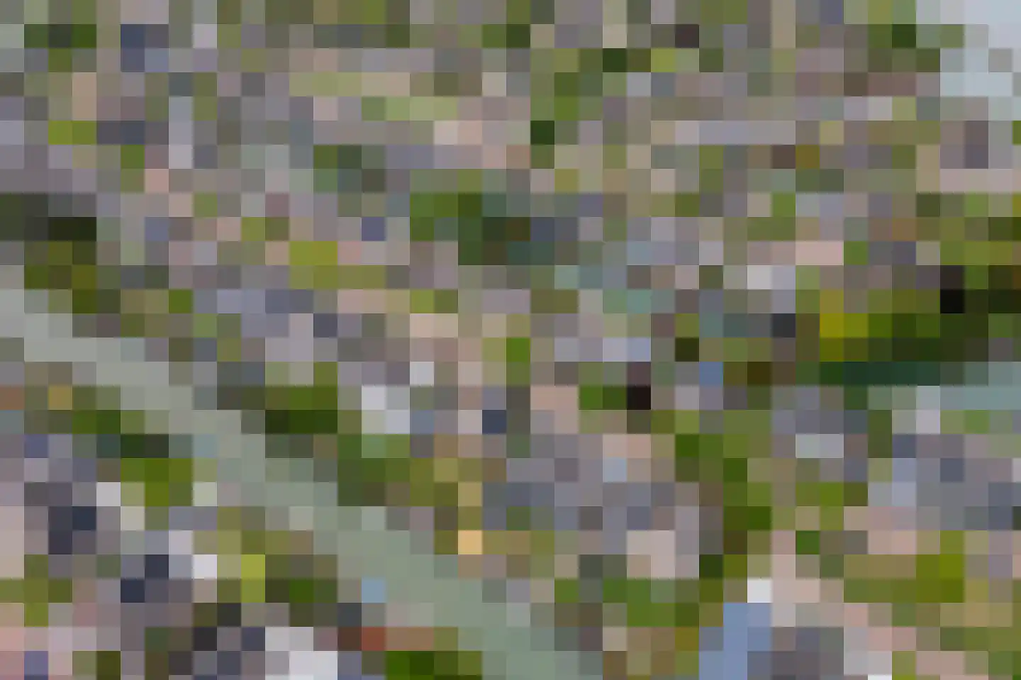 Betuwe Singel 59 Echteld thumbnail 46