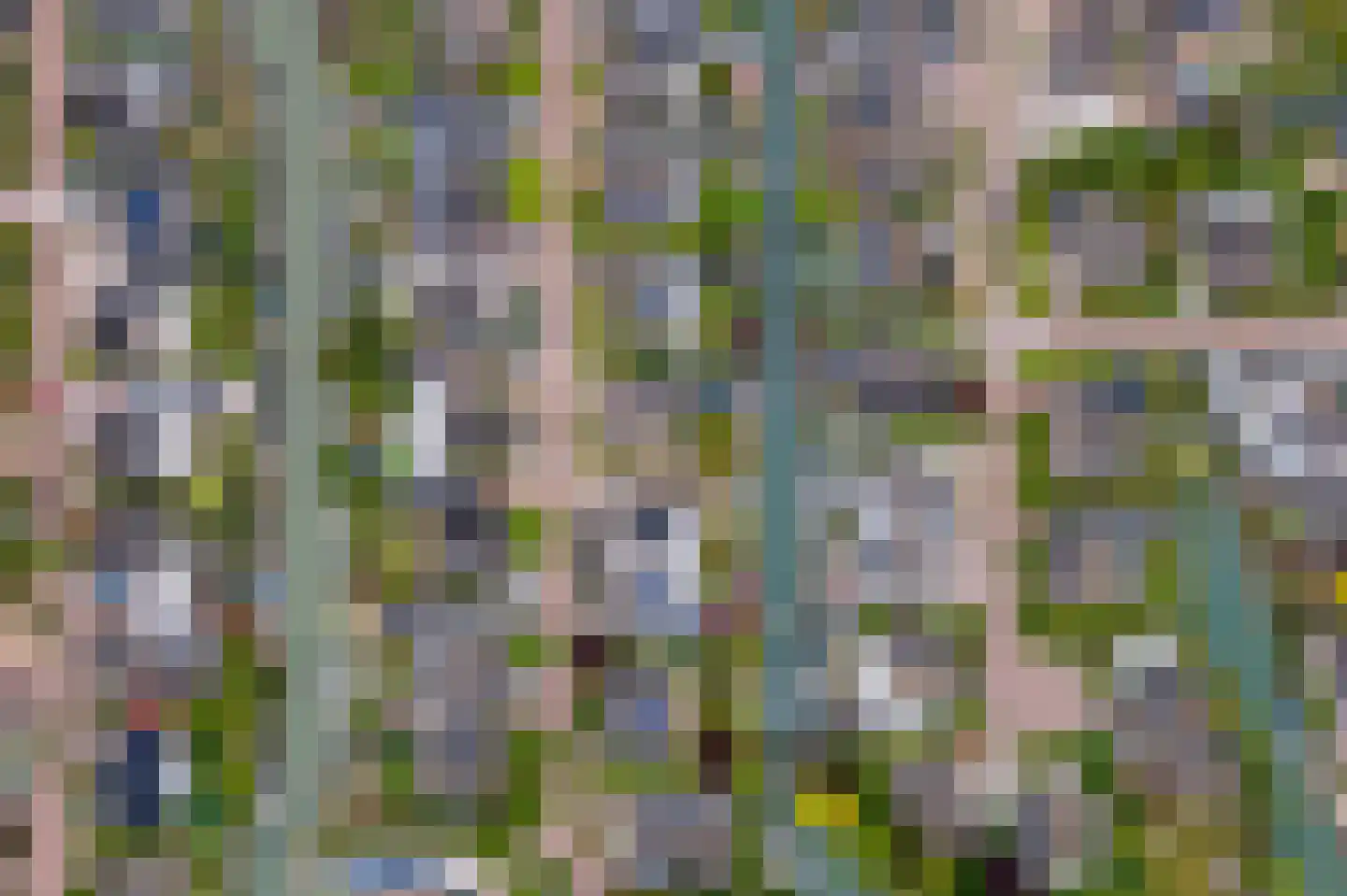 Betuwe Singel 59 Echteld thumbnail 47