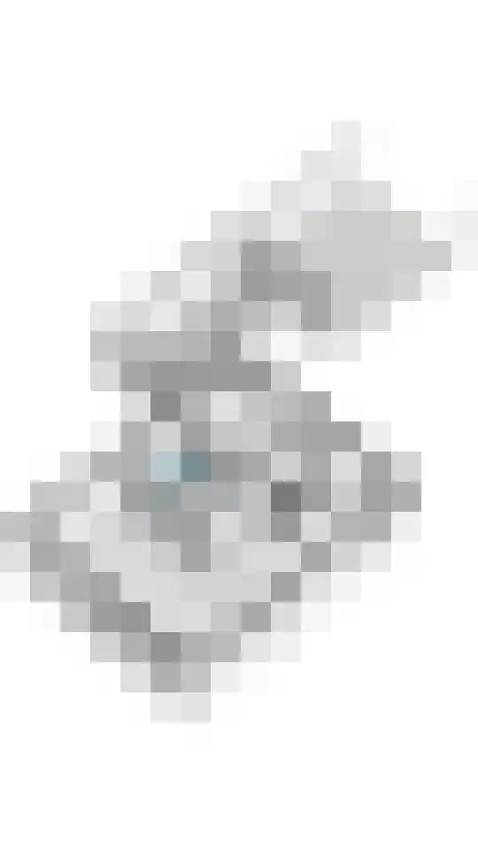 Betuwe Singel 59 Echteld thumbnail 51