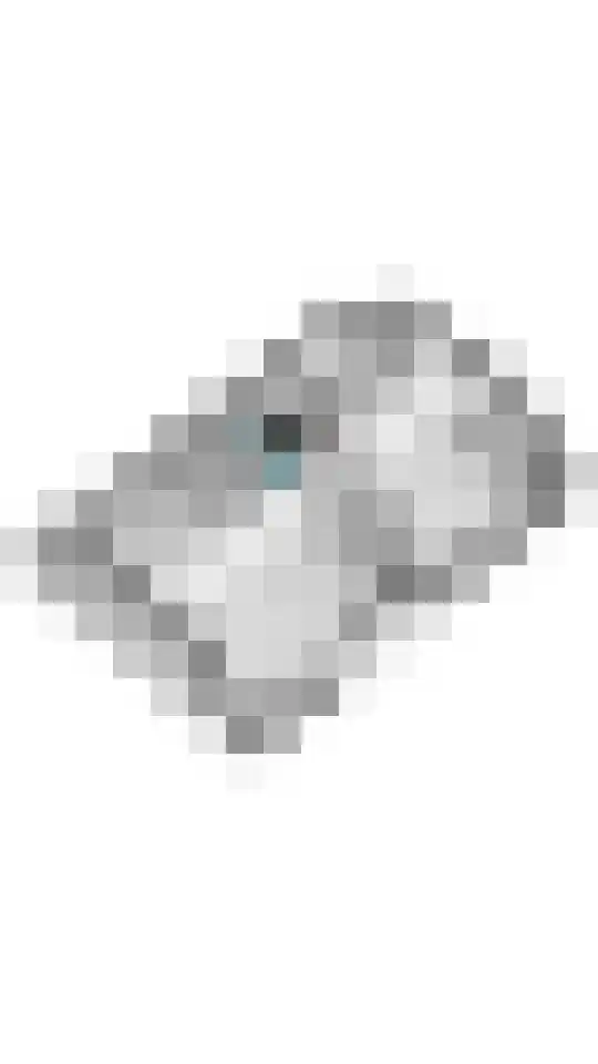 Betuwe Singel 59 Echteld thumbnail 53