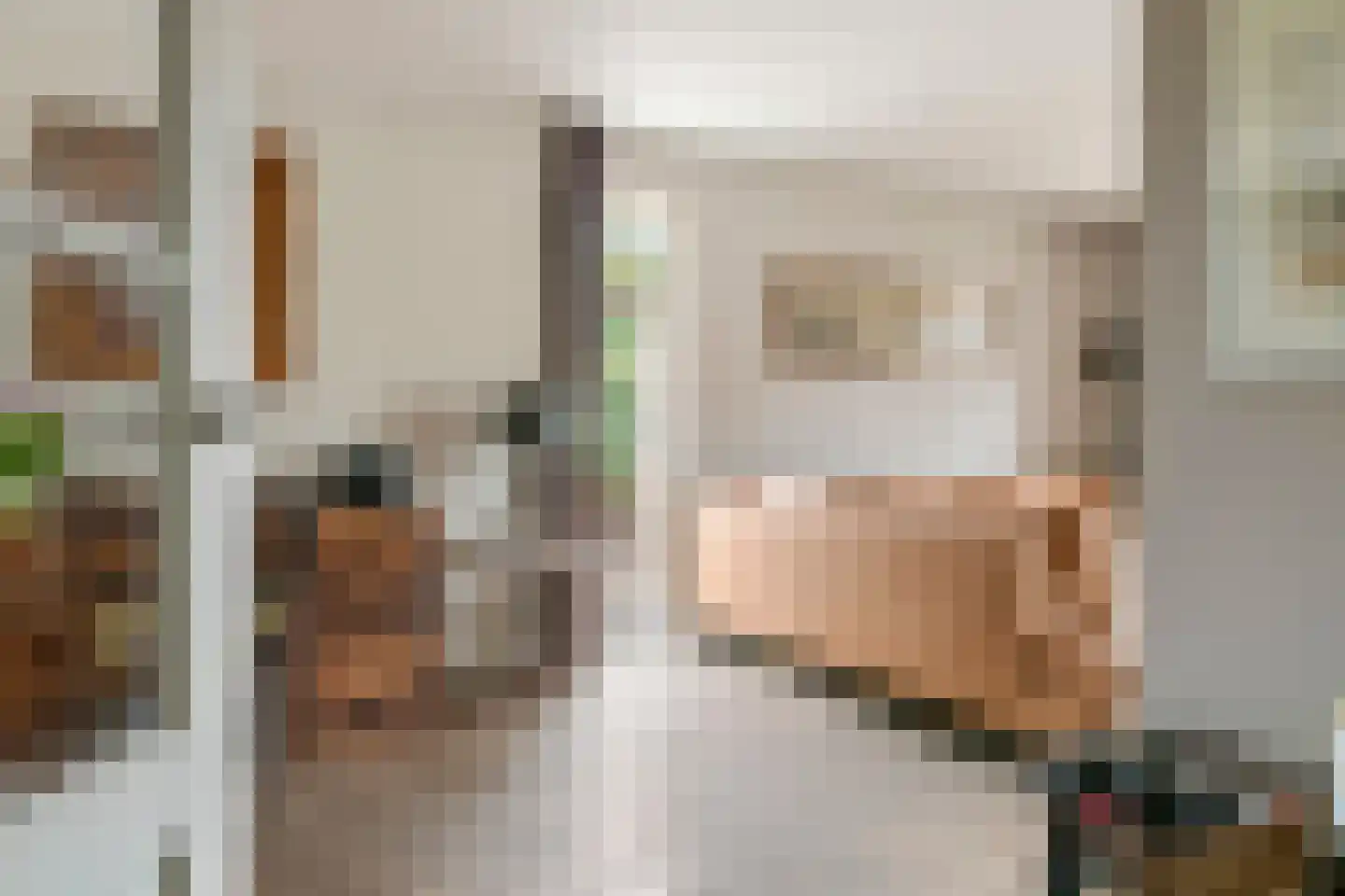 Betuwe Singel 59 Echteld thumbnail 8