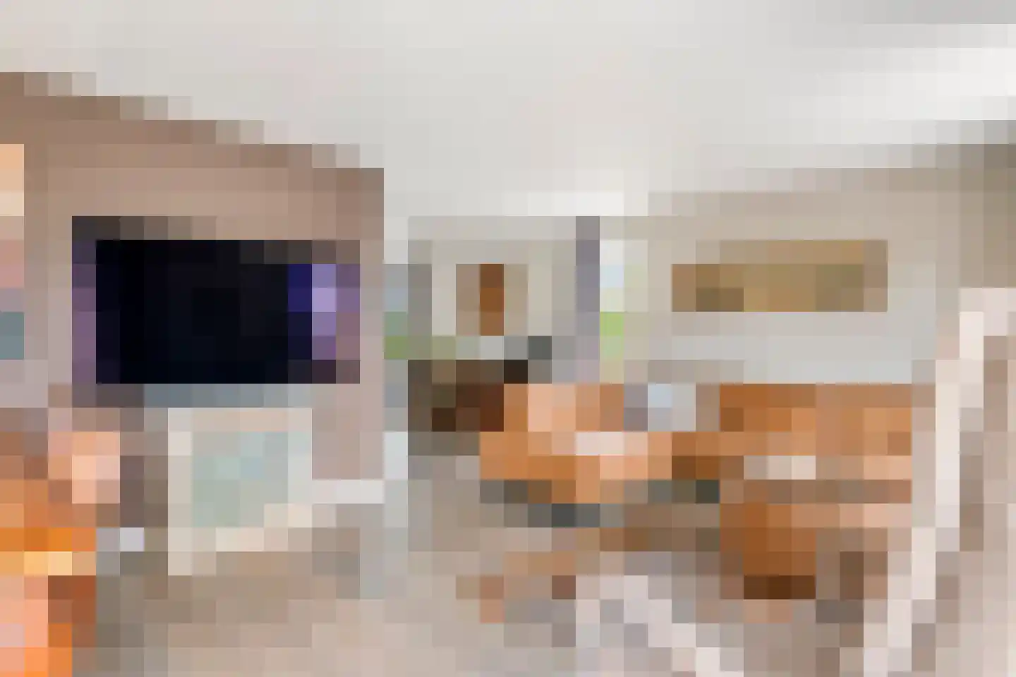 Betuwe Singel 59 Echteld thumbnail 9
