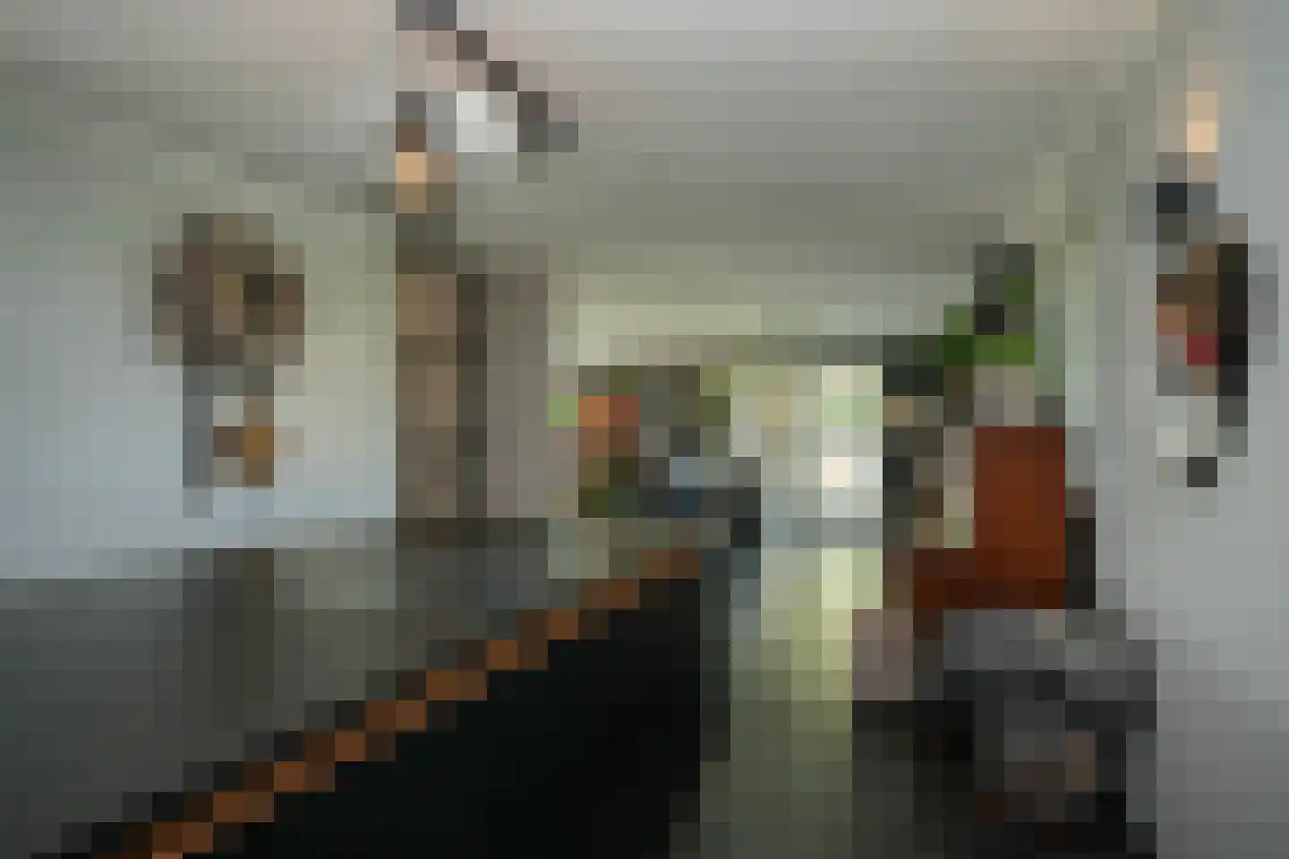 Betuwe Singel 70 Lienden thumbnail 18