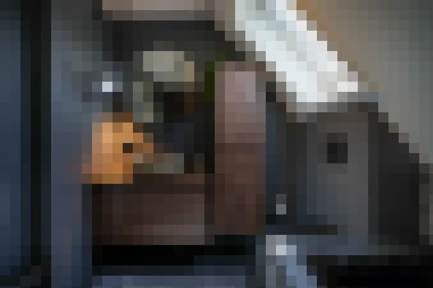 Betuwe Singel 70 Lienden thumbnail 26