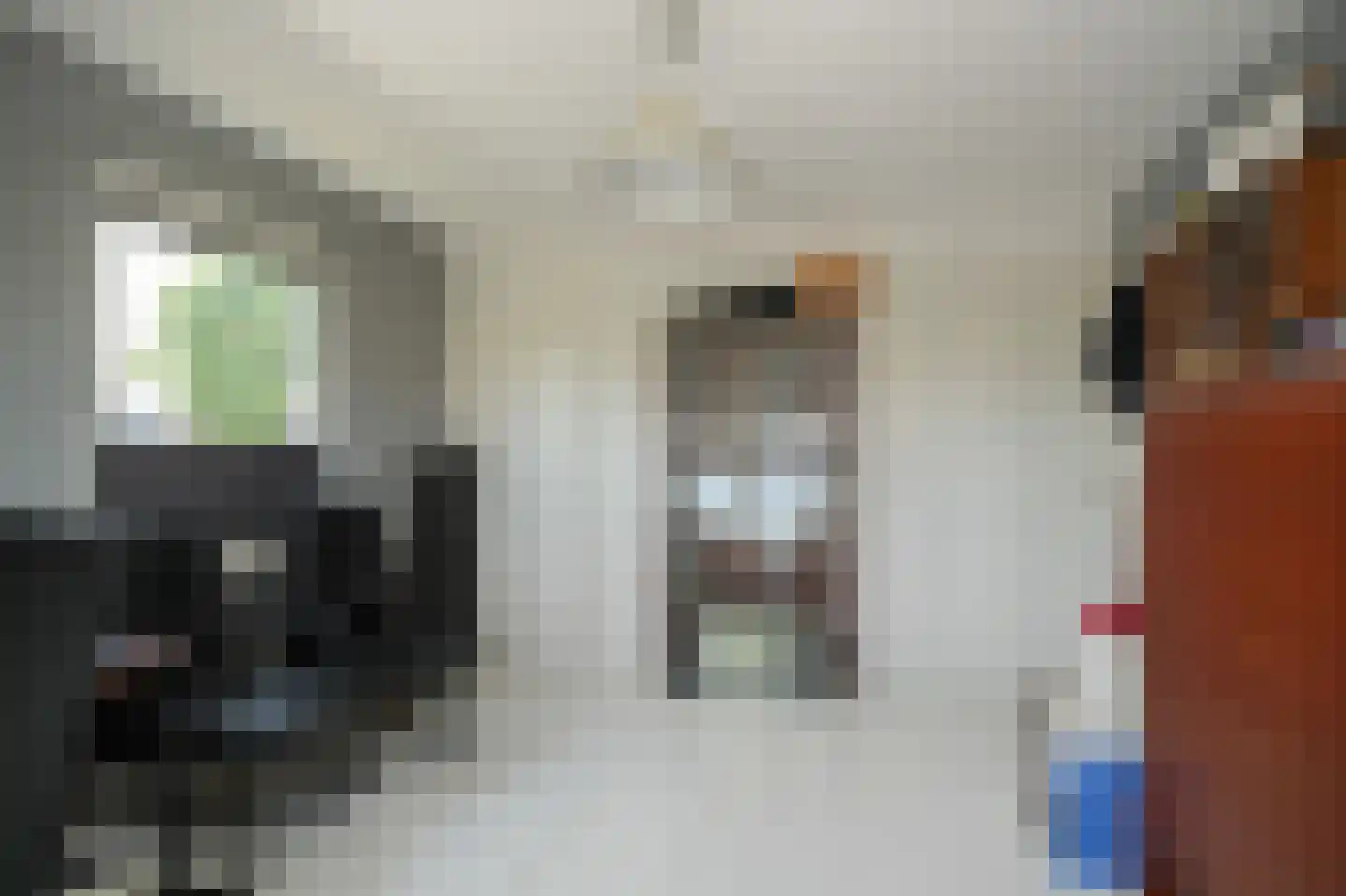 Betuwe Singel 70 Lienden thumbnail 29