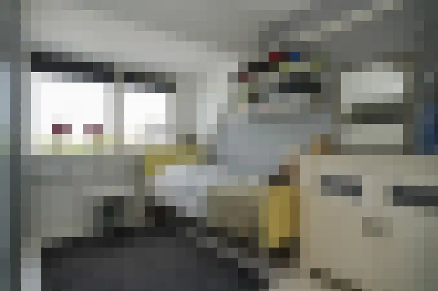 Betuwe Singel 70 Lienden thumbnail 30