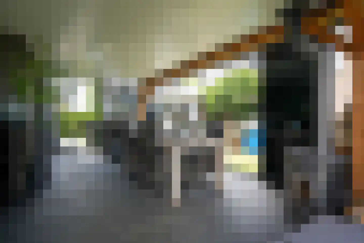 Betuwe Singel 70 Lienden thumbnail 33