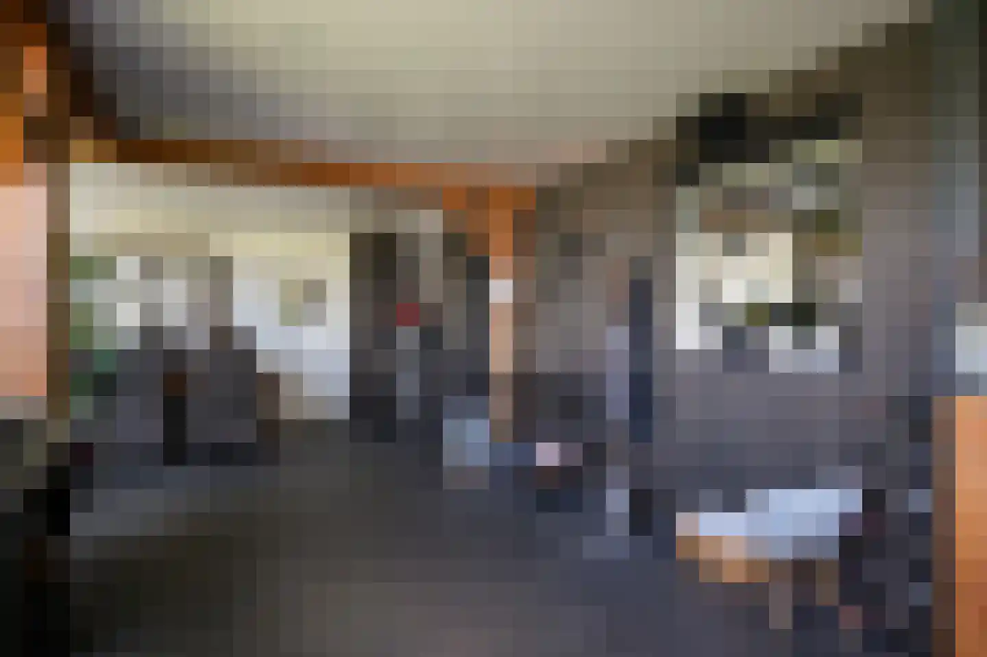 Betuwe Singel 70 Lienden thumbnail 37