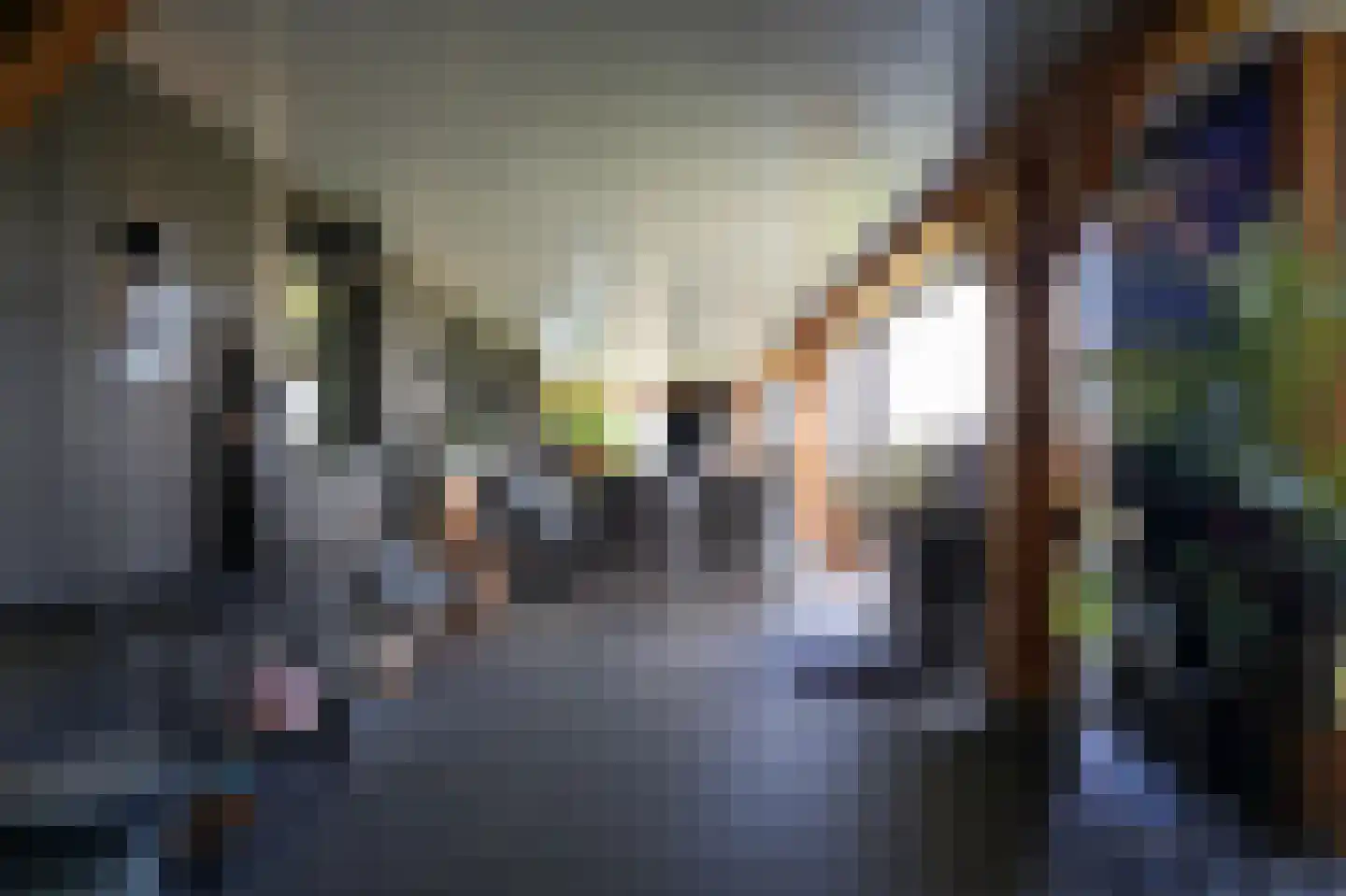 Betuwe Singel 70 Lienden thumbnail 38