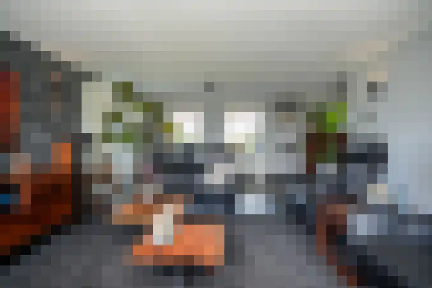 Betuwe Singel 70 Lienden thumbnail 6