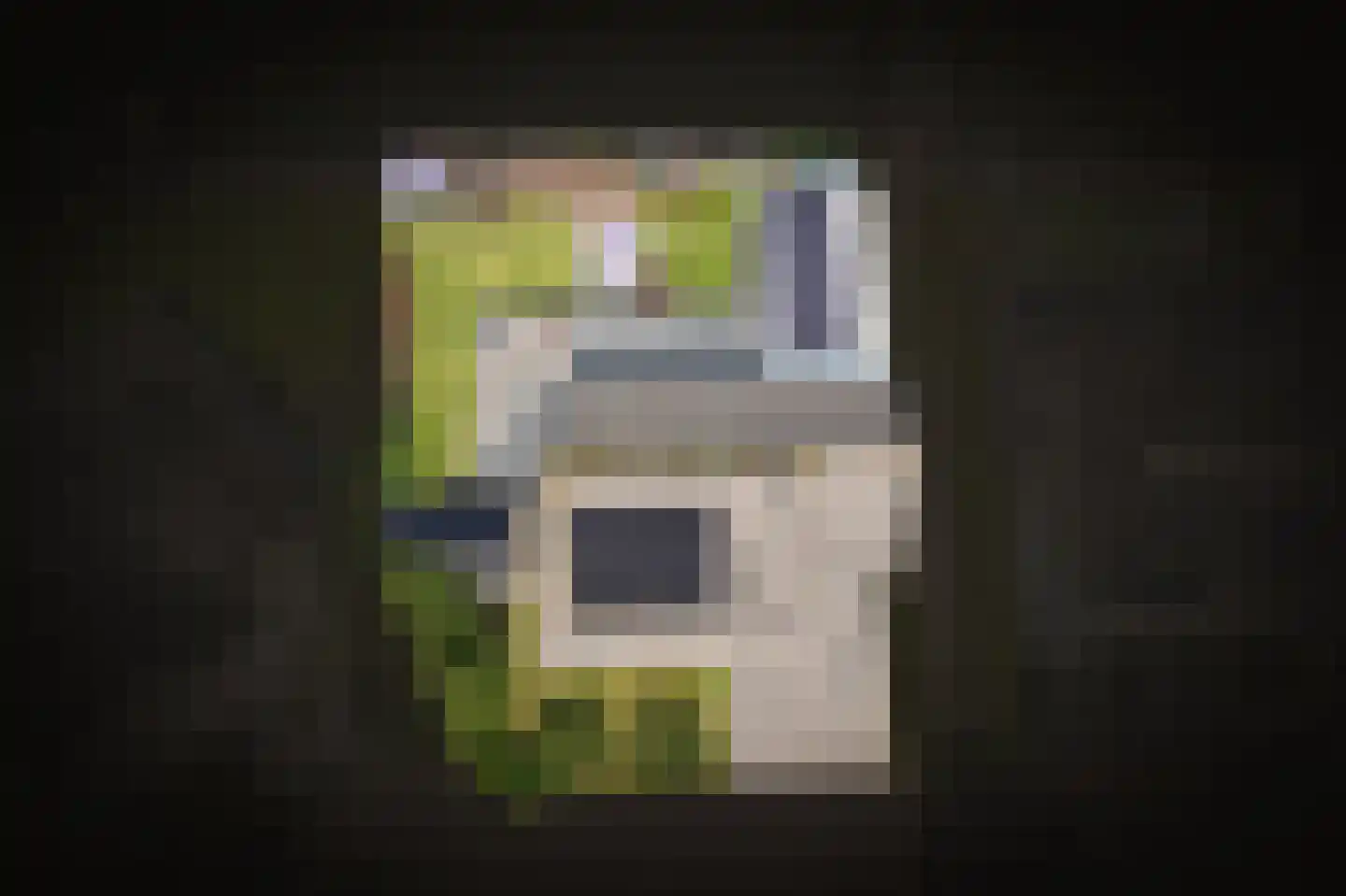 Betuwe Singel 70 Lienden thumbnail 60