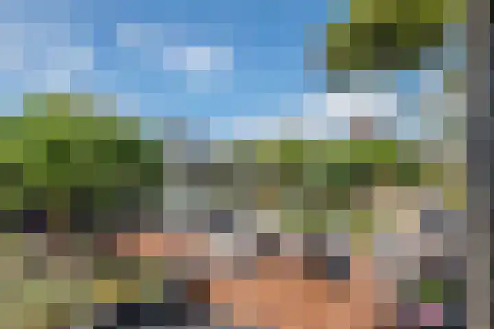 Betuwe Singel 8 Lienden thumbnail 10